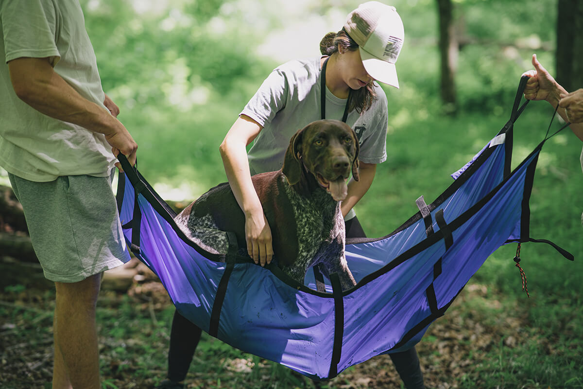 Safe and comfortable emergency pet stretcher. Patented design. Woman designed. West Virginia local small business.